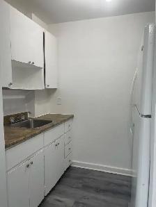Superbe 2 1/2 style loft,  Marie Incarnation Juillet rénové ! - Photo 3