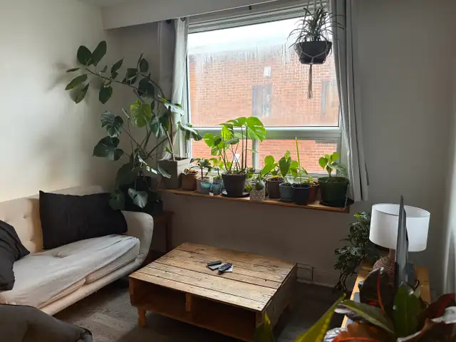 Beau 31/2 situé au 3e étage Ste-foy, Juillet - Photo 2