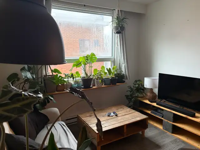 Beau 31/2 situé au 3e étage Ste-foy, Juillet - Photo 3