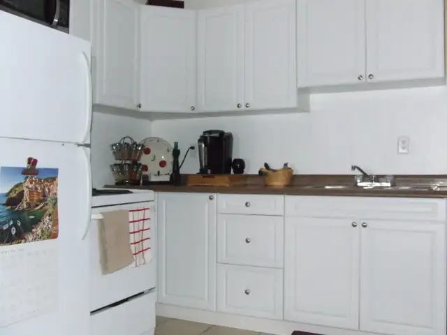 1 Bedroom Zulich Managed Apartment Available July 1st - Photo 4