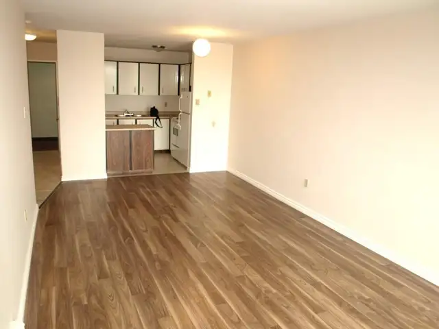 1 Bedroom Zulich Managed Apartment Available July 1st - Photo 5