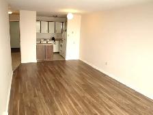 1 Bedroom Zulich Managed Apartment Available July 1st - Photo 5