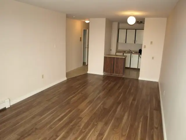 1 Bedroom Zulich Managed Apartment Available July 1st - Photo 6