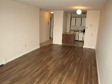 1 Bedroom Zulich Managed Apartment Available July 1st - Photo 6
