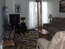 1 Bedroom Zulich Managed Apartment Available July 1st - Photo 7