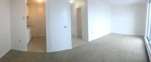 Bachelor Unit Zulich Managed Apartment Available July 1st - Photo 3