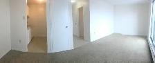 Bachelor Unit Zulich Managed Apartment Available July 1st - Photo 3