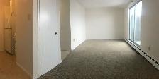 Bachelor Unit Zulich Managed Apartment Available July 1st - Photo 4