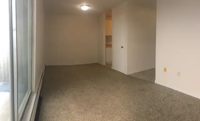 Bachelor Unit Zulich Managed Apartment Available July 1st - Photo 5