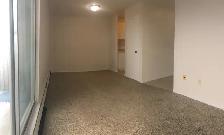 Bachelor Unit Zulich Managed Apartment Available July 1st - Photo 5