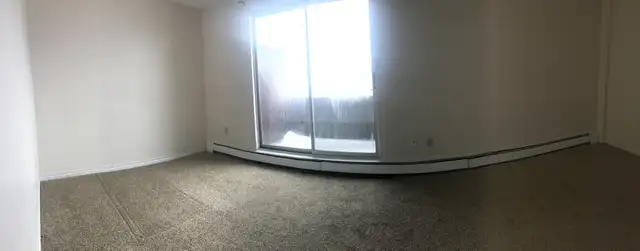 Bachelor Unit Zulich Managed Apartment Available July 1st - Photo 7