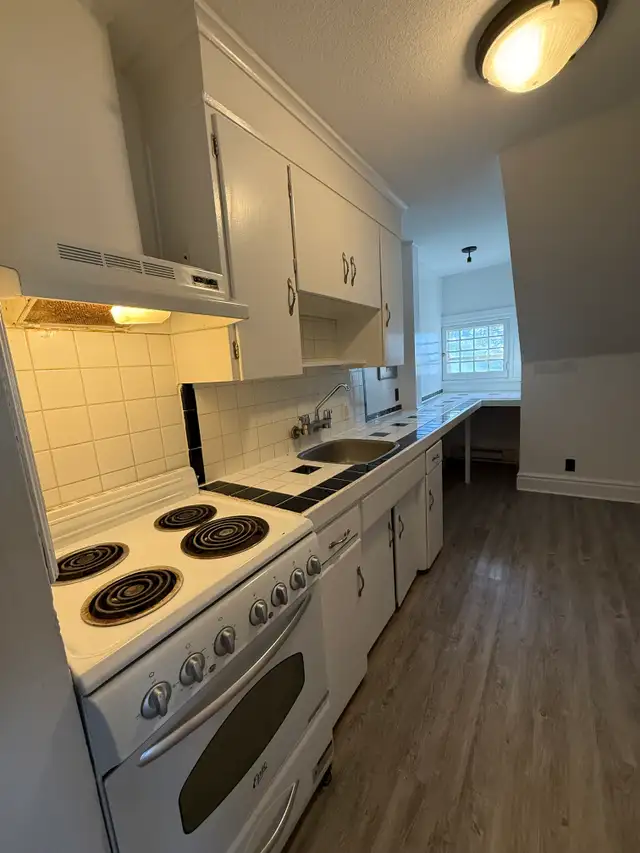 5-61 Paisley Street  - 5-61 Paisley Apartment for Rent - Photo 2