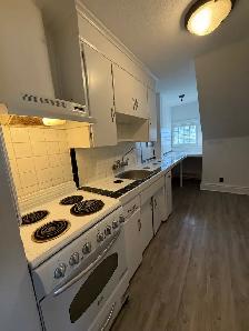 5-61 Paisley Street  - 5-61 Paisley Apartment for Rent - Photo 2