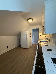5-61 Paisley Street  - 5-61 Paisley Apartment for Rent - Photo 3