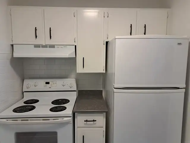 Recently renovated 2 bdrm unit, quiet bldg in West end - Photo 2