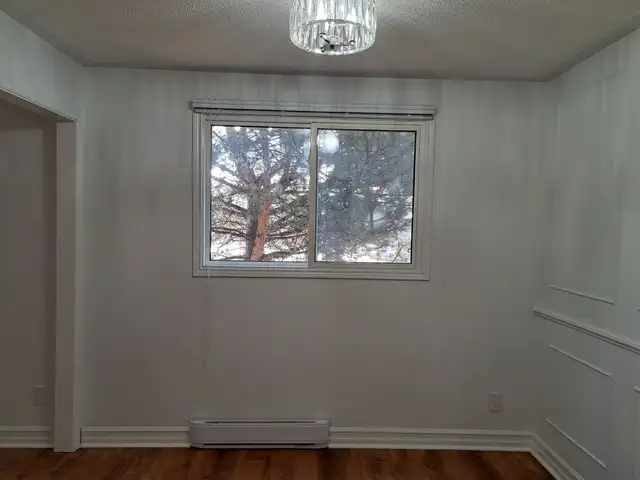Recently renovated 2 bdrm unit, quiet bldg in West end - Photo 4