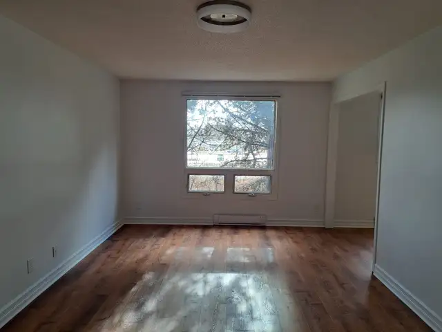 Recently renovated 2 bdrm unit, quiet bldg in West end - Photo 8