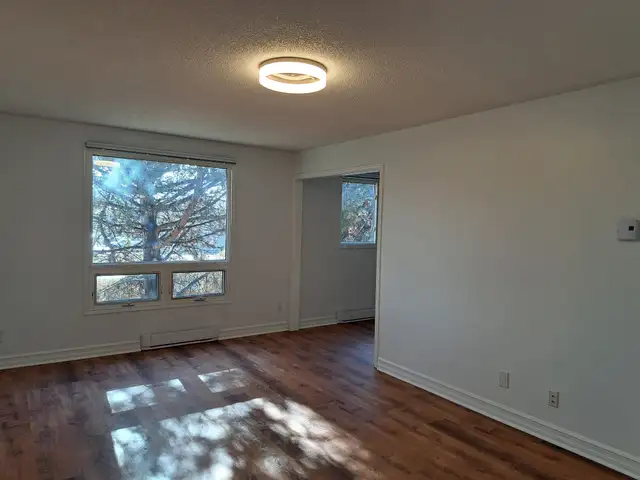 Recently renovated 2 bdrm unit, quiet bldg in West end - Photo 9