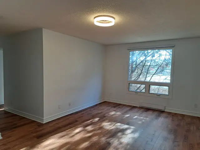Recently renovated 2 bdrm unit, quiet bldg in West end - Photo 10