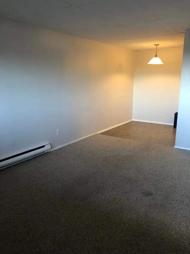 MAIN FLOOR – 1 BDRM – CAT FRIENDLY - Photo 2