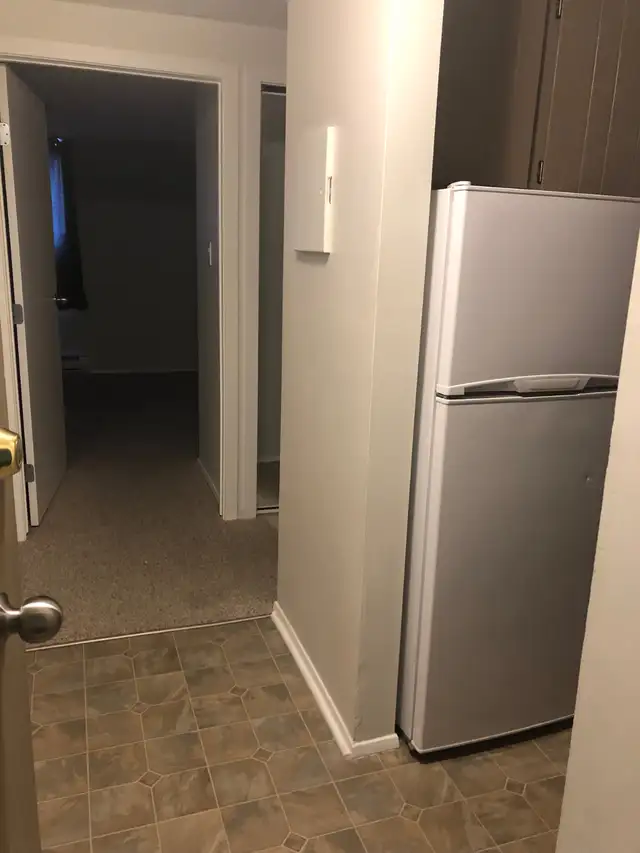 MAIN FLOOR – 1 BDRM – CAT FRIENDLY - Photo 4