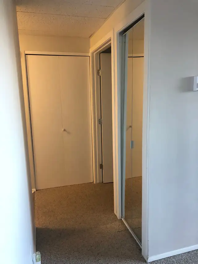 MAIN FLOOR – 1 BDRM – CAT FRIENDLY - Photo 5