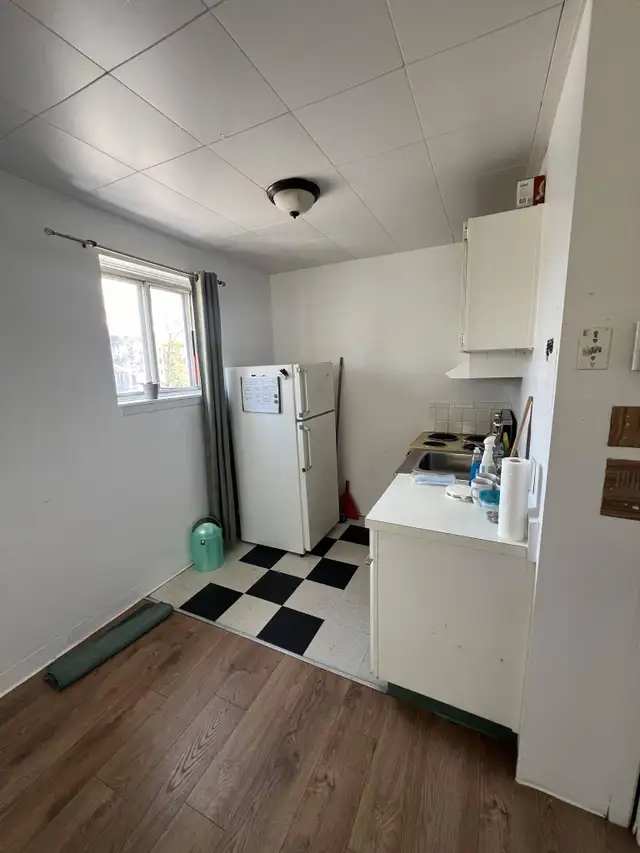3 rue Pharand - 3-13 Apartment for Rent - Photo 2