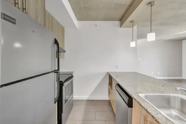 250-260-270 Maisonneuve - 270-604 Apartment for Rent - Photo 3