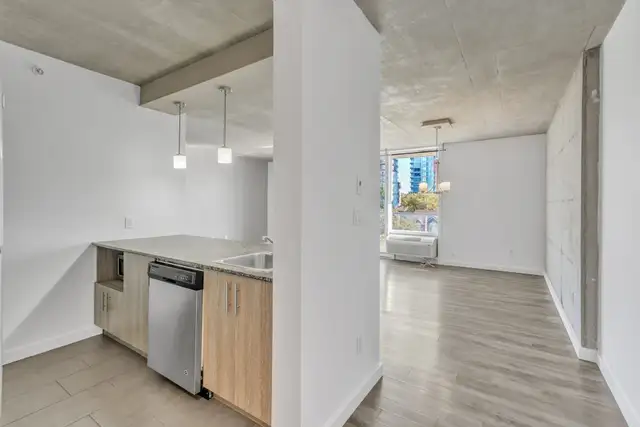 250-260-270 Maisonneuve - 270-604 Apartment for Rent - Photo 4