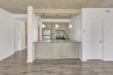 250-260-270 Maisonneuve - 270-604 Apartment for Rent - Photo 5