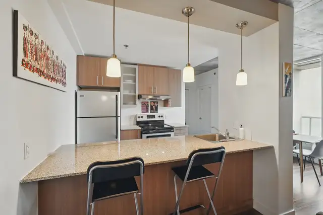 250-260-270 Maisonneuve - 260-404 Apartment for Rent - Photo 5