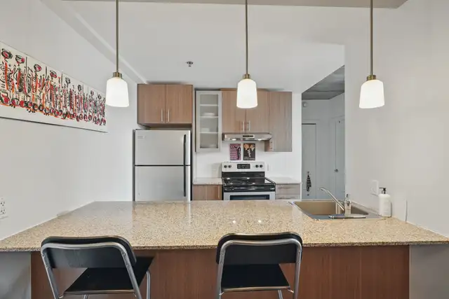250-260-270 Maisonneuve - 260-404 Apartment for Rent - Photo 6
