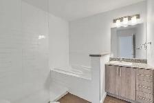 250-260-270 Maisonneuve - 270-702 Apartment for Rent - Photo 12