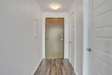 250-260-270 Maisonneuve - 270-702 Apartment for Rent - Photo 13