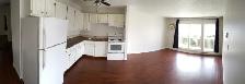 SPACIOUS – RENOVATED – PET FRIENDLY - Photo 2