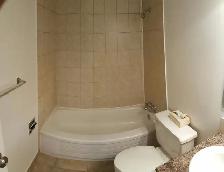 SPACIOUS – RENOVATED – PET FRIENDLY - Photo 5