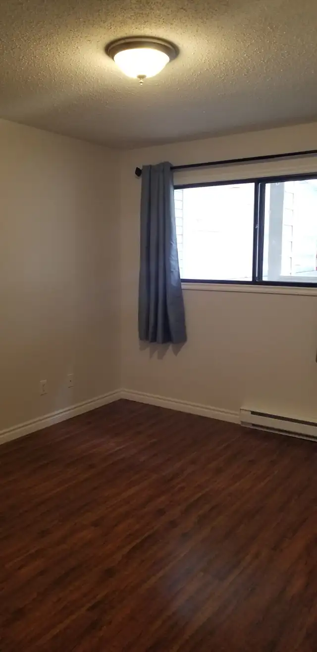 SPACIOUS – RENOVATED – PET FRIENDLY - Photo 6