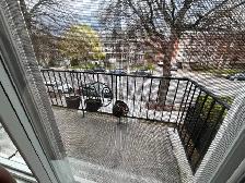 Grand Ahuntsic 3 1/2 logement à louer - juillet 1 - Photo 7