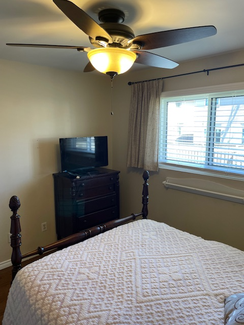 SHARE PICKERING HOUSE - AVAILABLE NOW - Photo 4