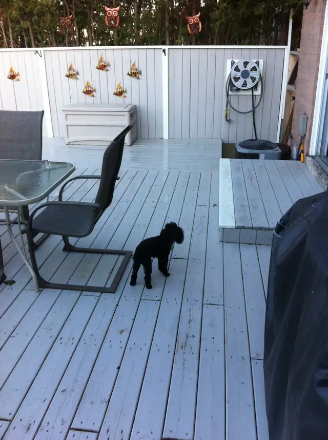 FENCE AND DECK - Photo 7
