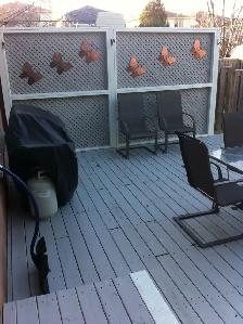 FENCE AND DECK - Photo 8
