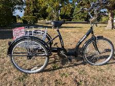 Three wheel Trike