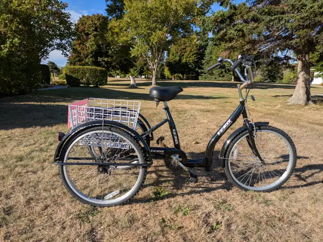 Three wheel Trike - Photo 2