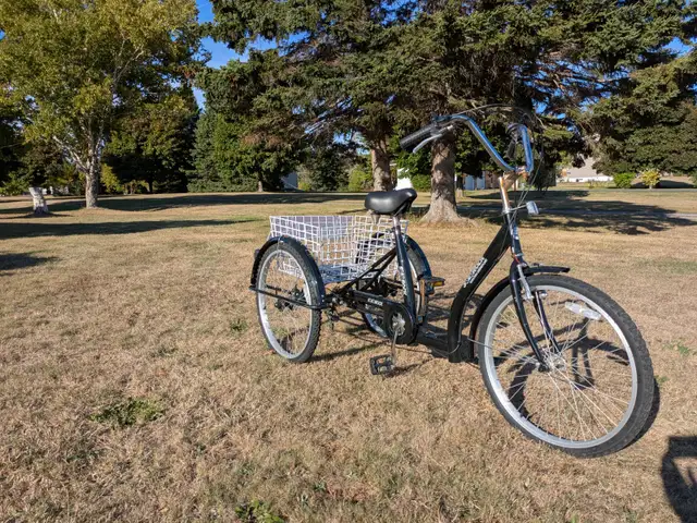 Three wheel Trike - Photo 3