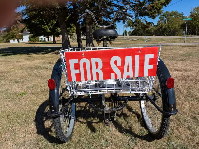 Three wheel Trike - Photo 4