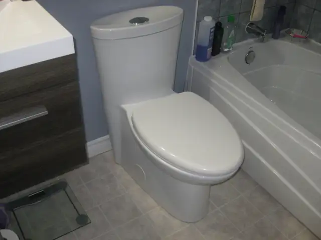 Toilet - Modern Style   FREE