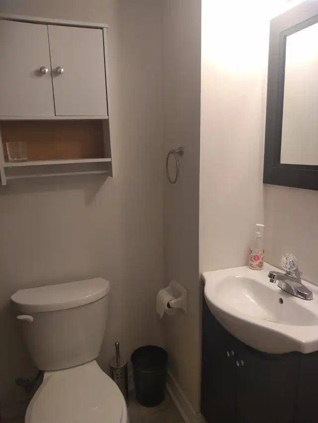 Fully Furnished 1-bedroom basement Unit Available 1st July 2026 - Photo 9
