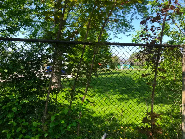 Lease 5 Bdr 2Wshr 4Car Park 2Kit No Neighbors Behind Oshawa - Photo 10