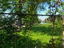 Lease 5 Bdr 2Wshr 4Car Park 2Kit No Neighbors Behind Oshawa - Photo 10