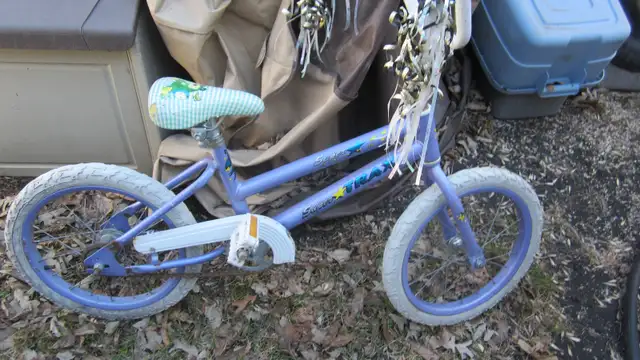18 Inch Tires Kids Bike